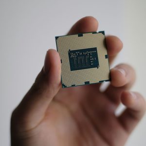 niek-doup-Xf071ws2Icg-unsplash niek-doup-Xf071ws2Icg-unsplash
